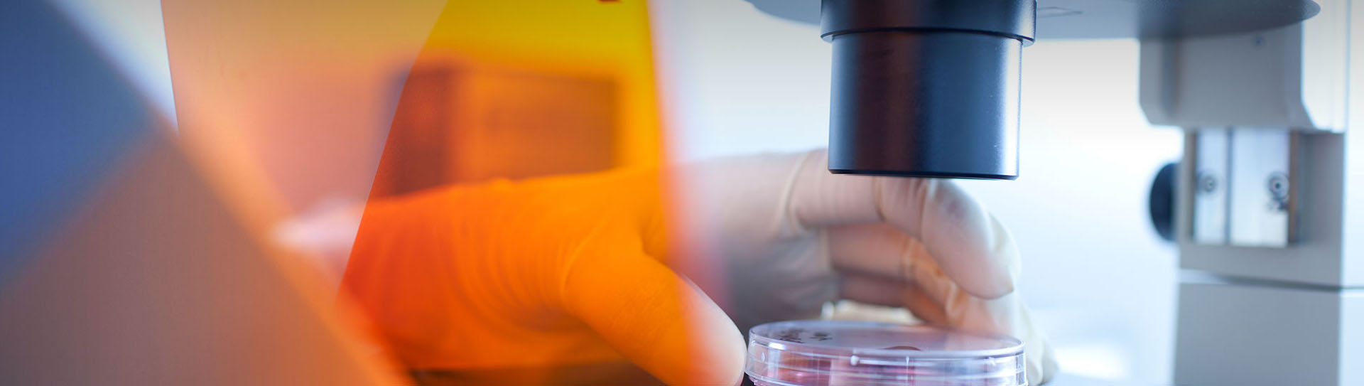 海寧鳳鳴葉綠素有限公司